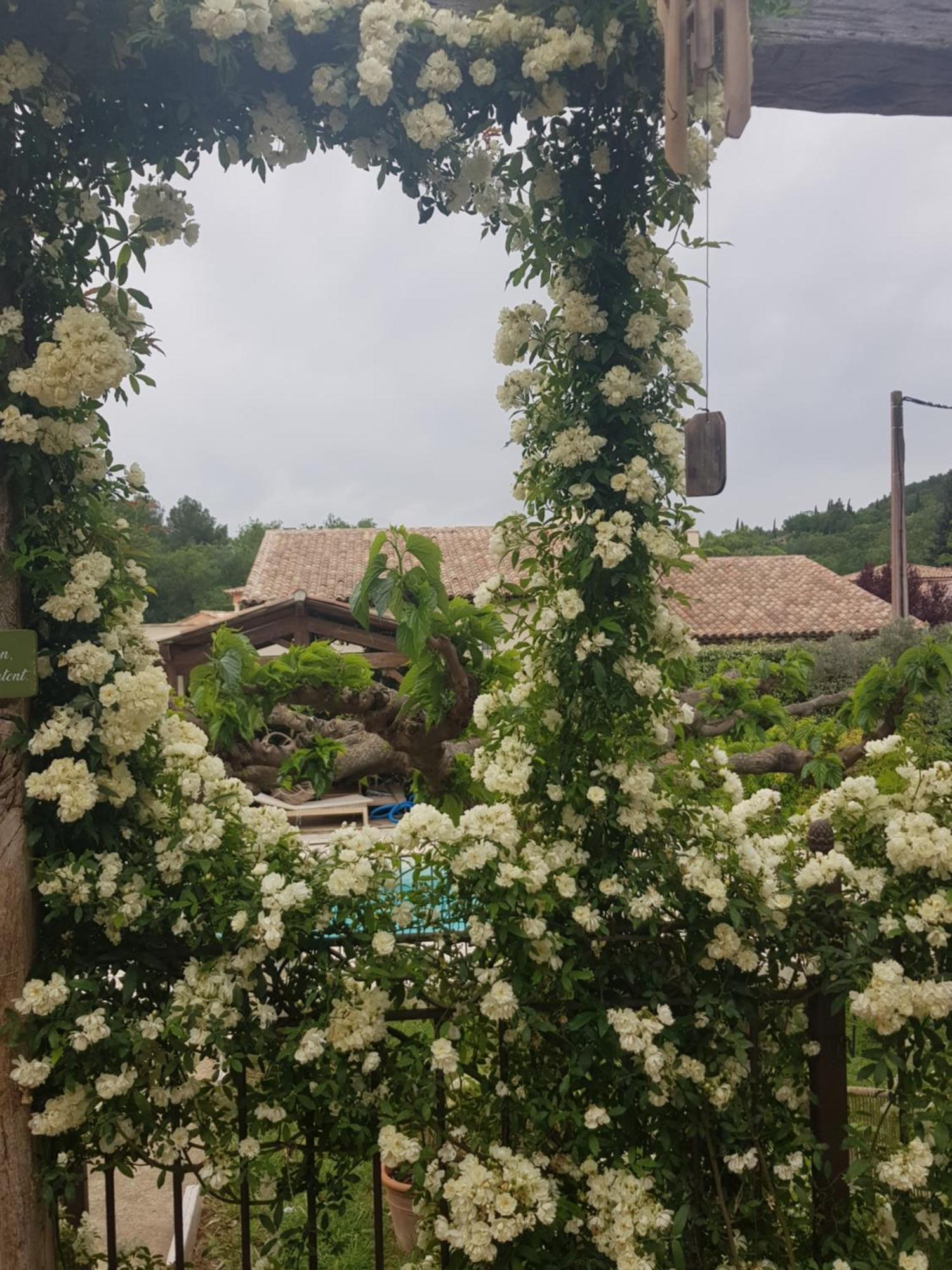 Magnifique Villa De Charme Avec Piscine Draguignan Exteriör bild